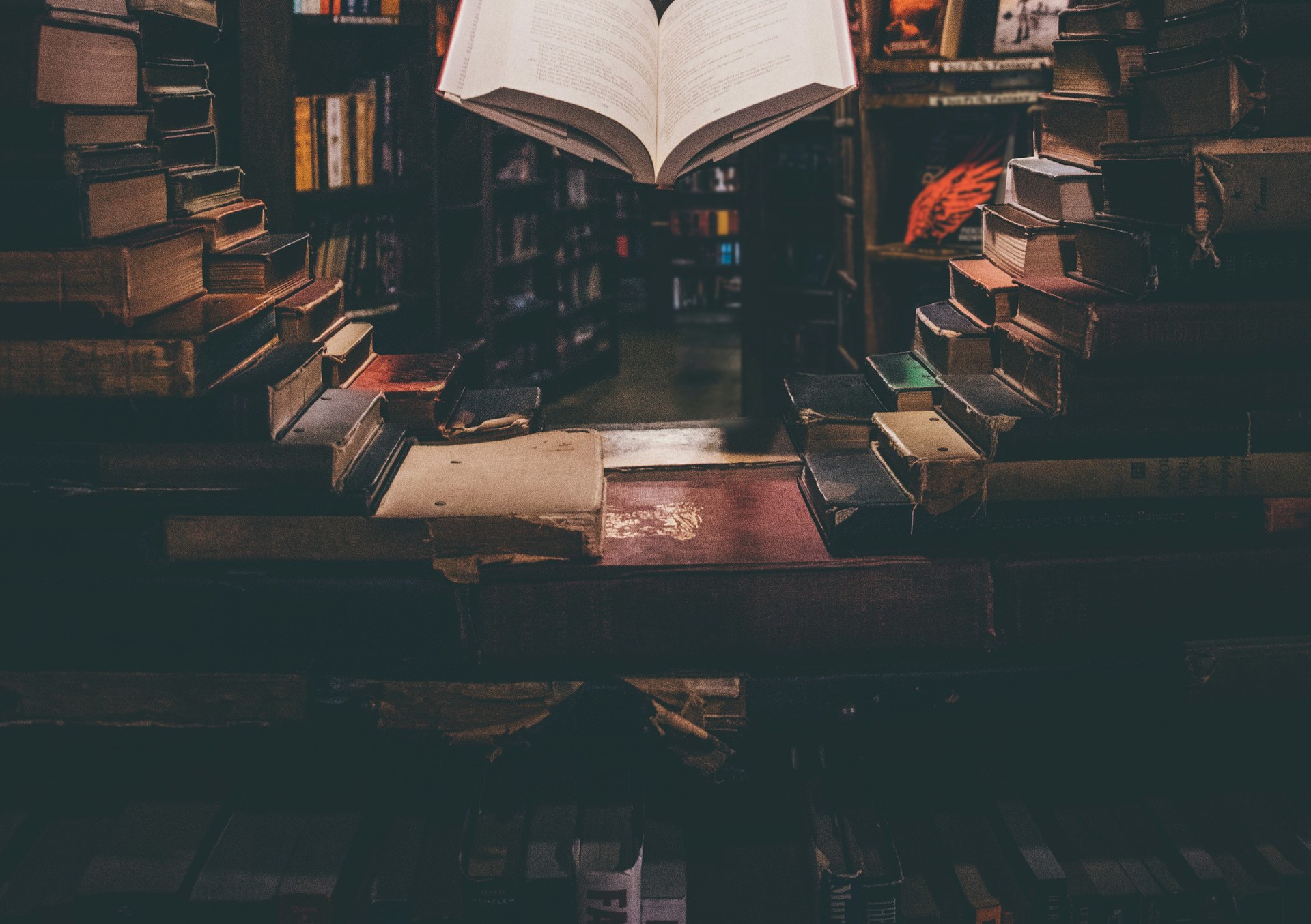 Shelves of books in a university library
